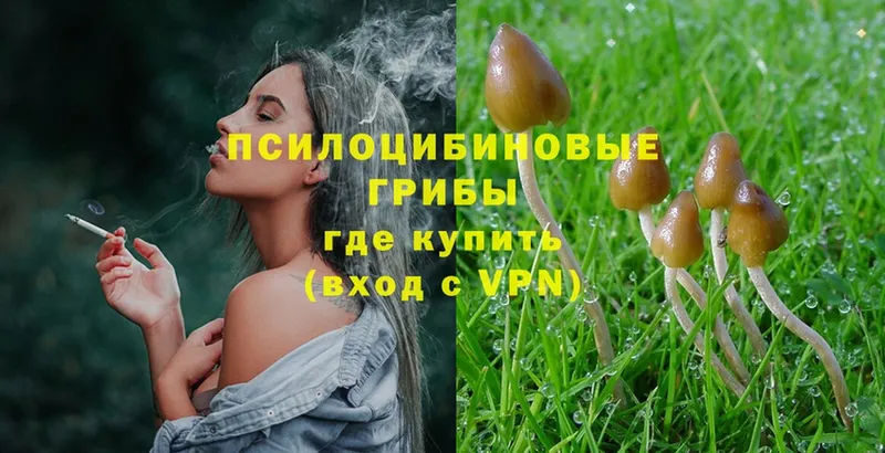 Псилоцибиновые грибы MAGIC MUSHROOMS  мега зеркало  Вихоревка 